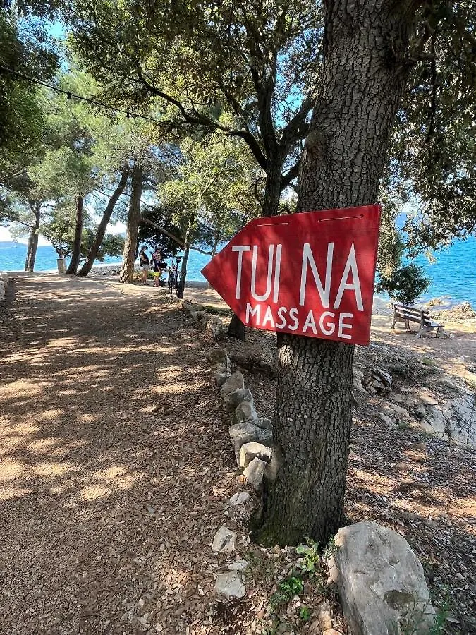 Blue Penguin Apartment Pinezici  Croatia